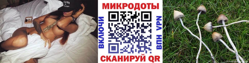 цена   Гороховец  Галлюциногенные грибы прущие грибы 